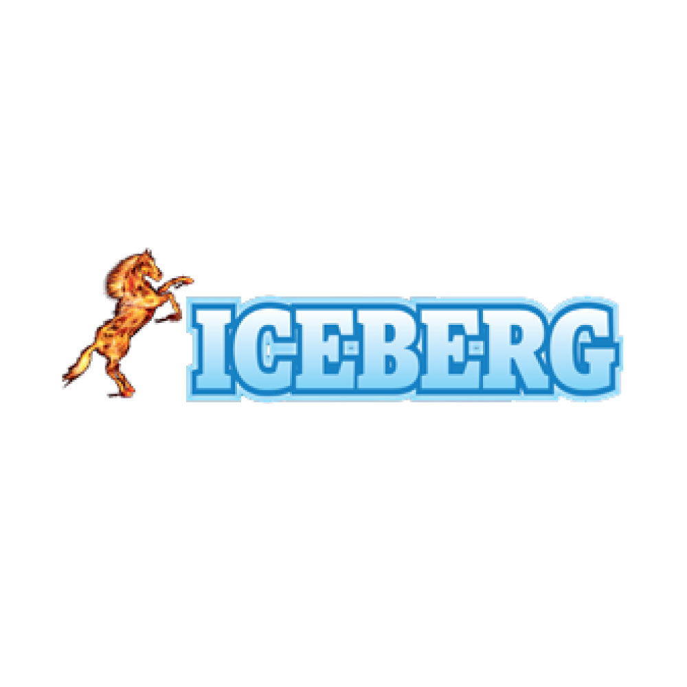 ICEBERG NANO SILVER